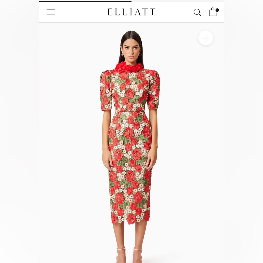 ISO searching for Elliatt Red and Green Floral Midi Dress
